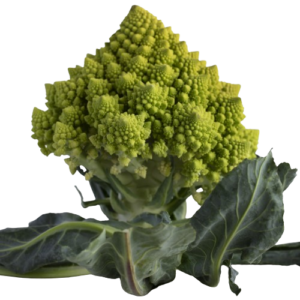 Chou romanesco (pièce)