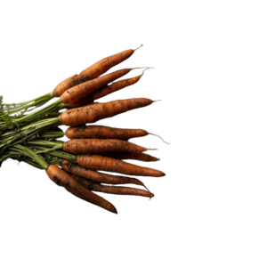 Carotte sable (1kg)
